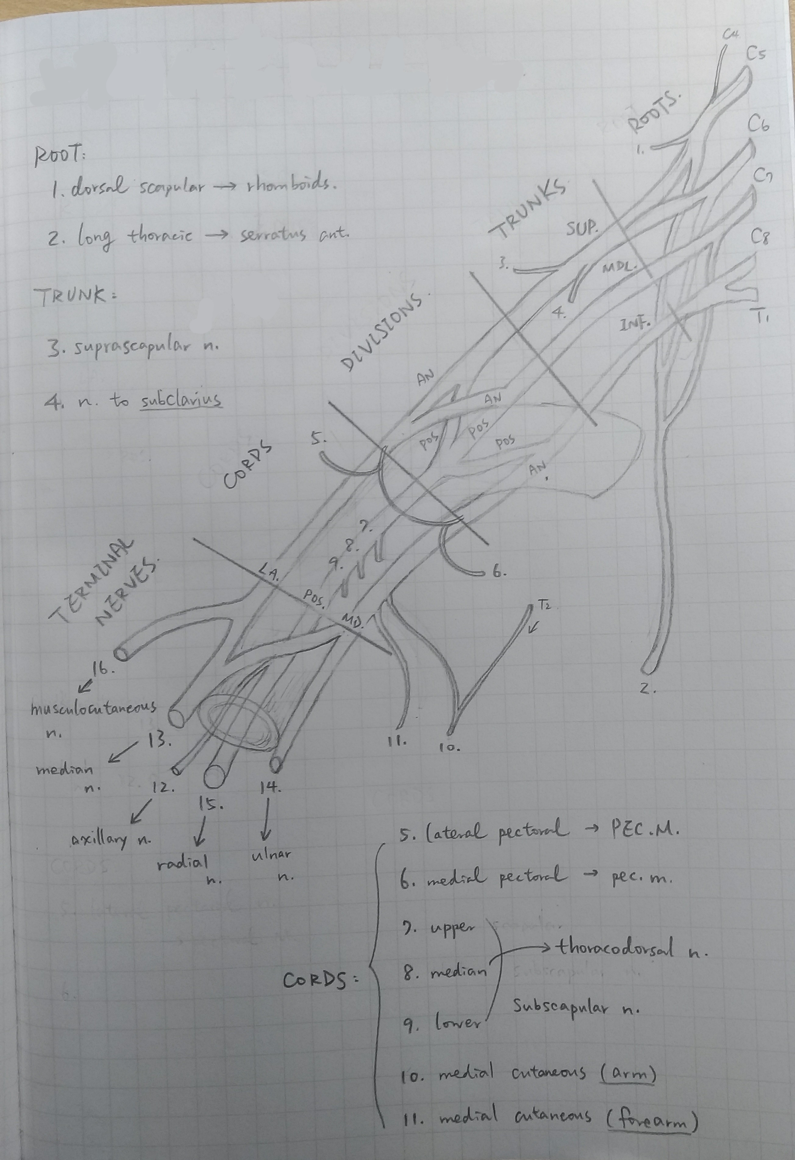 P_20190925_213008_vHDR_Auto_1.jpg