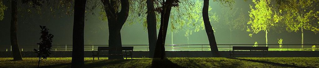 park.jpg