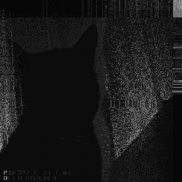 noise7.gif