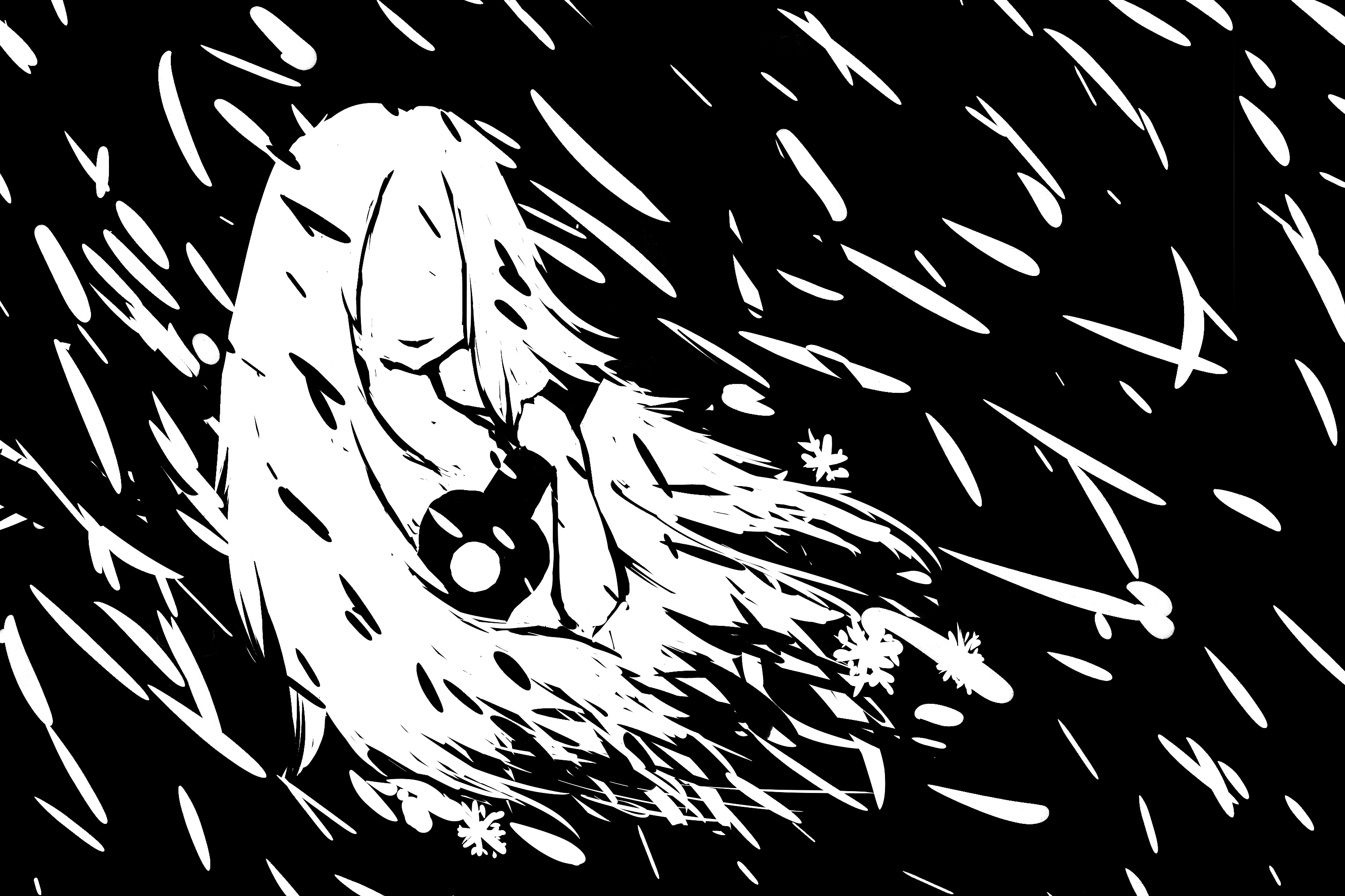 CN2521-2.png