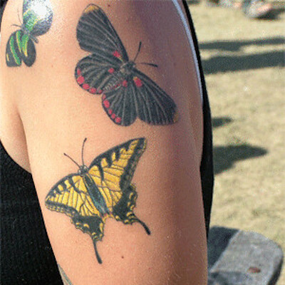 butterfly.jpg