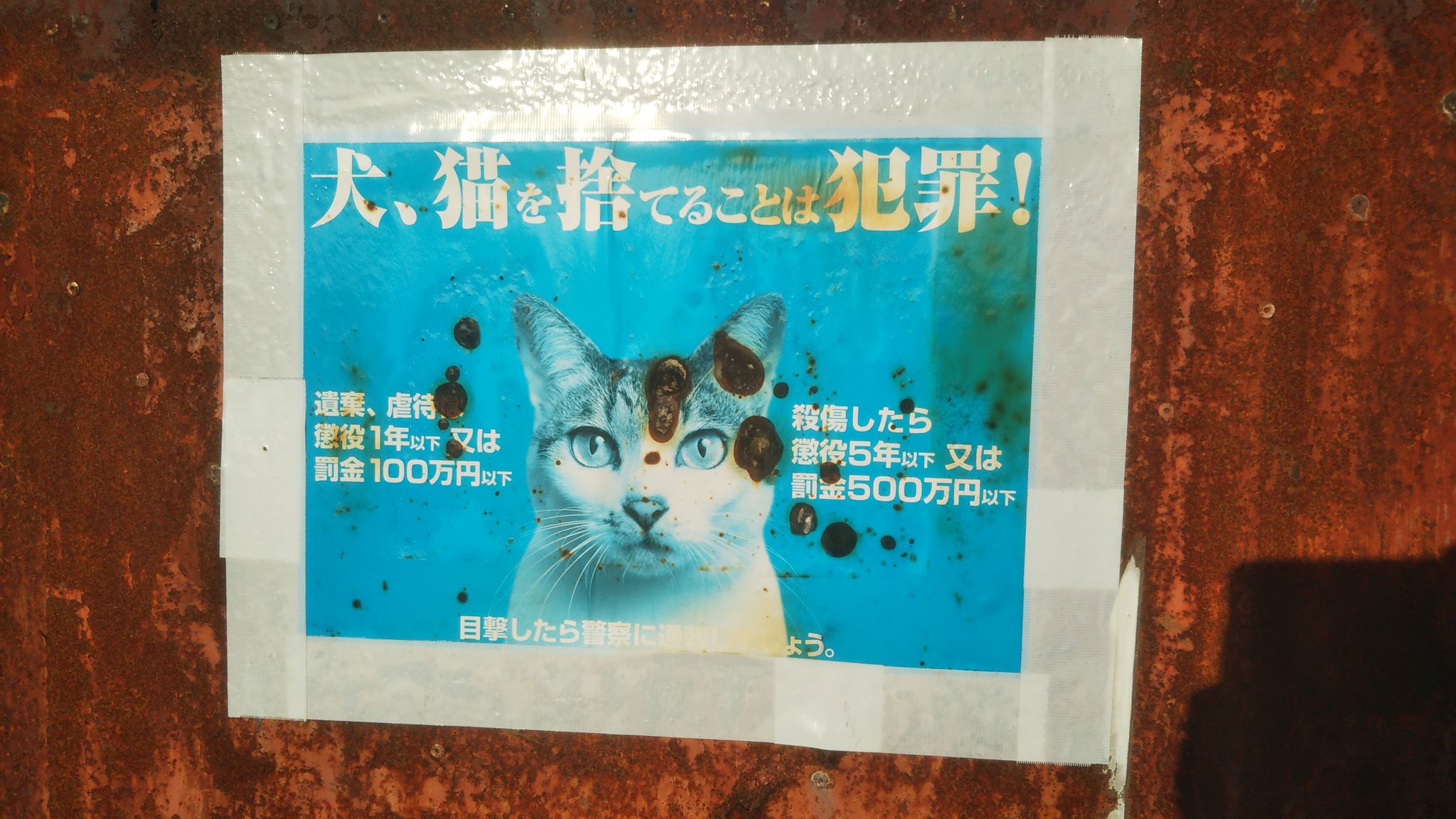 poster