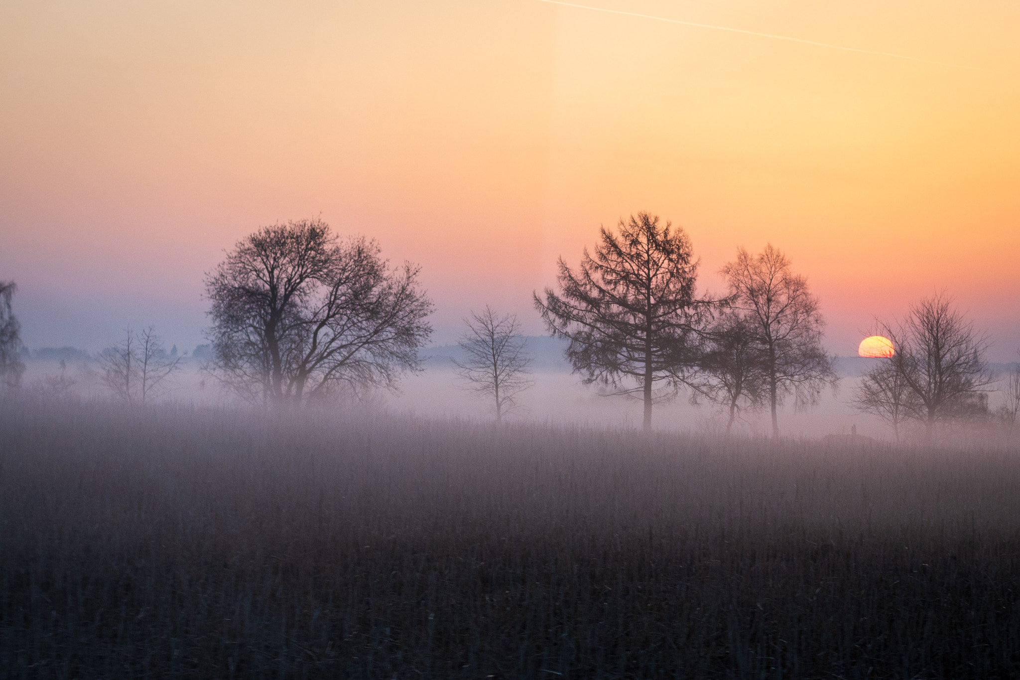 fog.jpeg