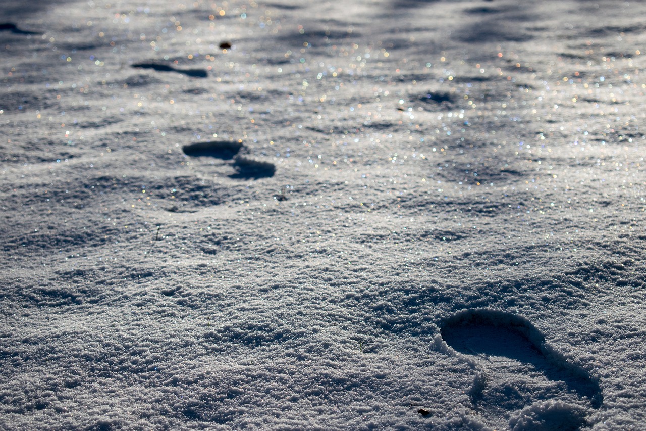 snow-2395757_1280.jpg