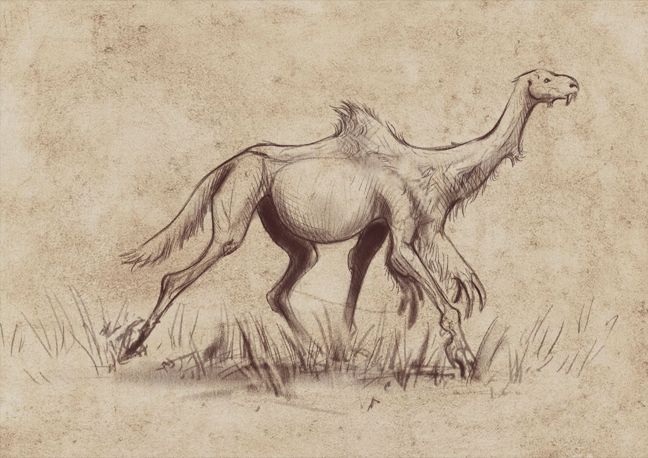 adaraak.jpg