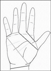 handy.png