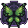 Distinguished Butterfly