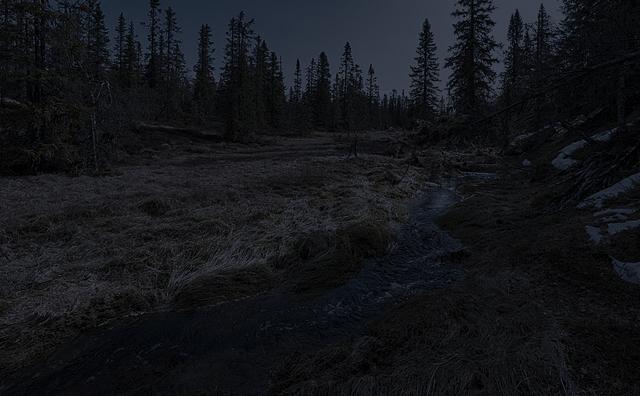 forest.png