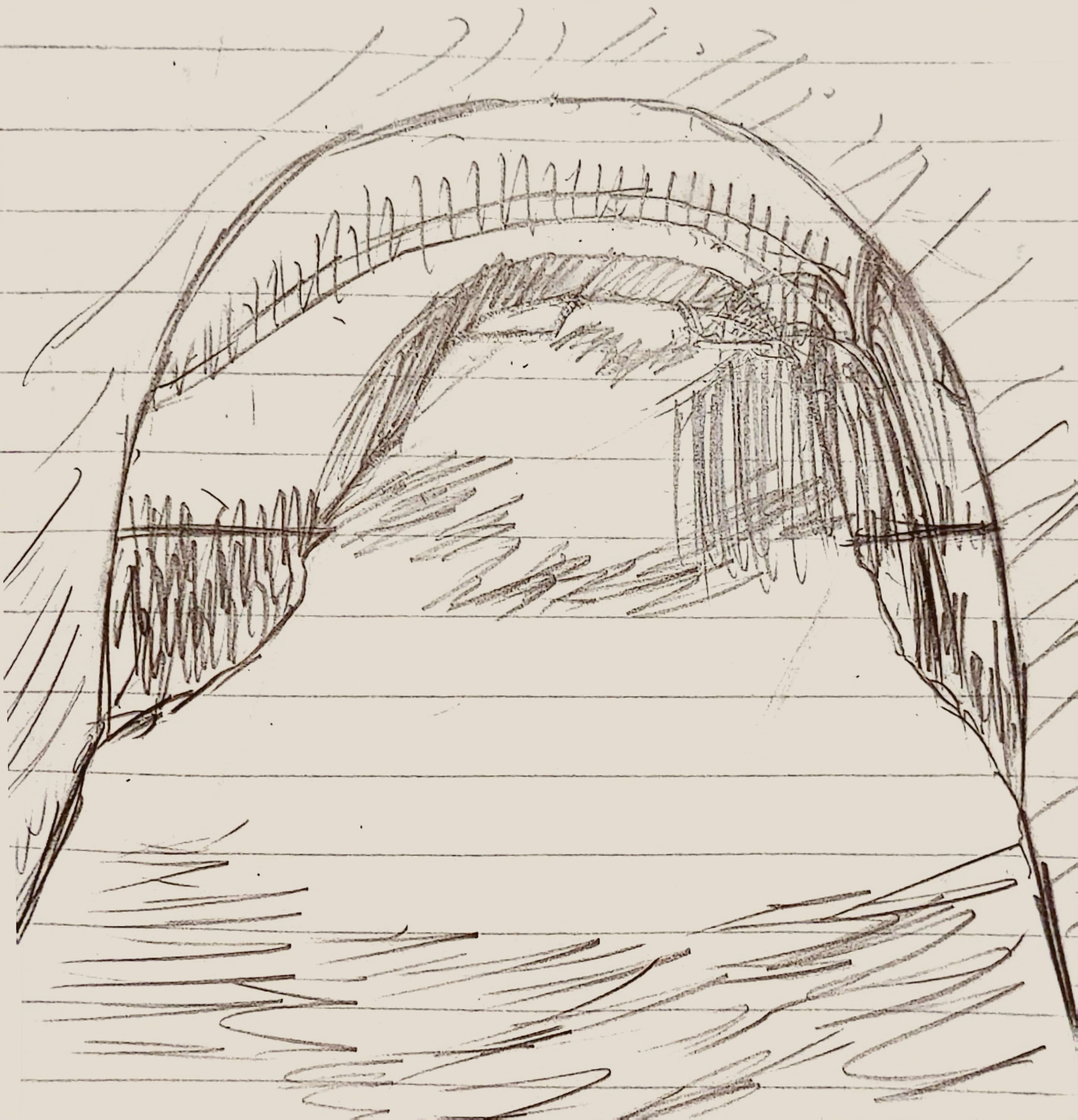 3797-9.png