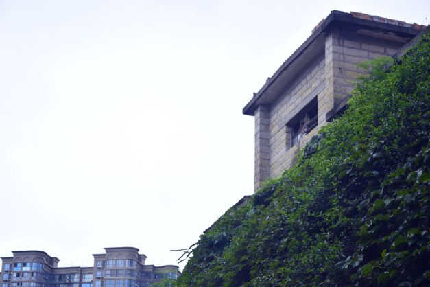 CSC_0307.JPG