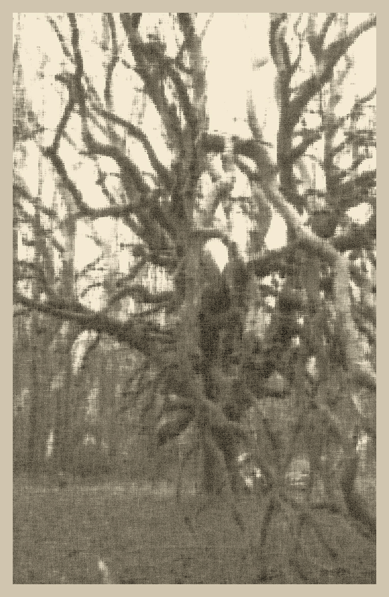 Ya-te-veo.jpg