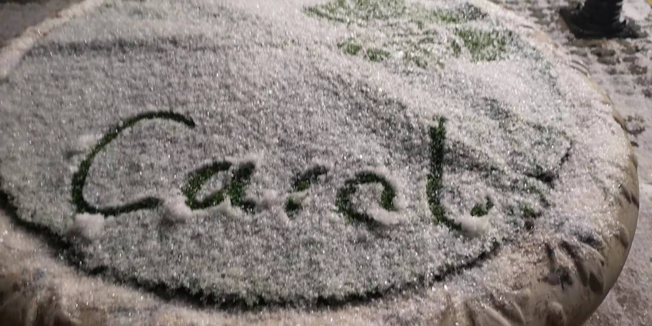 carol.jpg