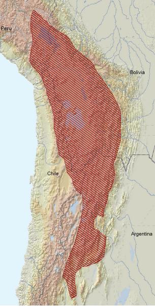 map.jpg