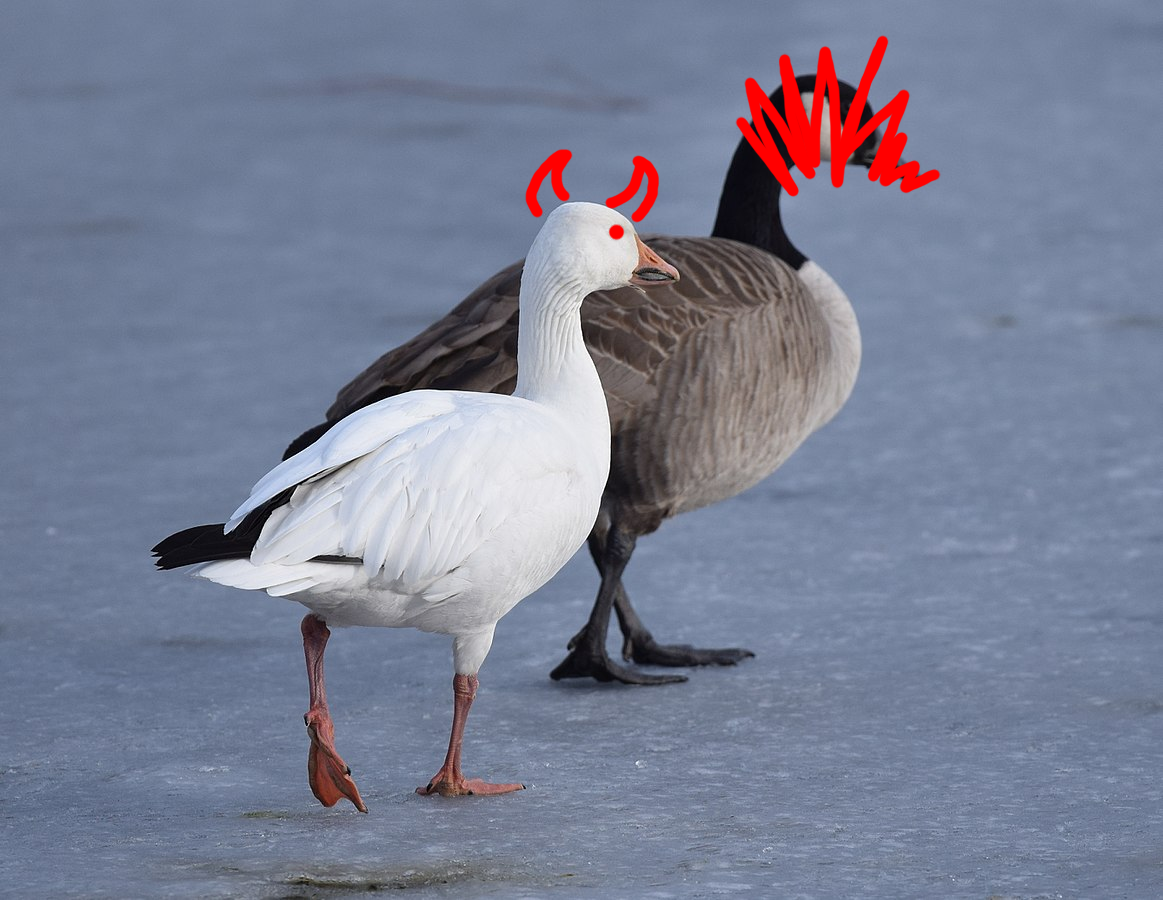 zargoth2.png