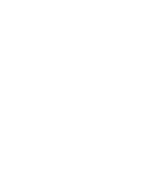 iins.png