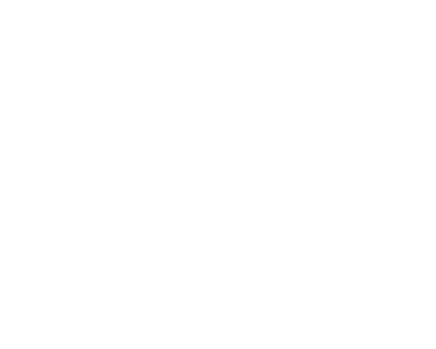 brain-400.png