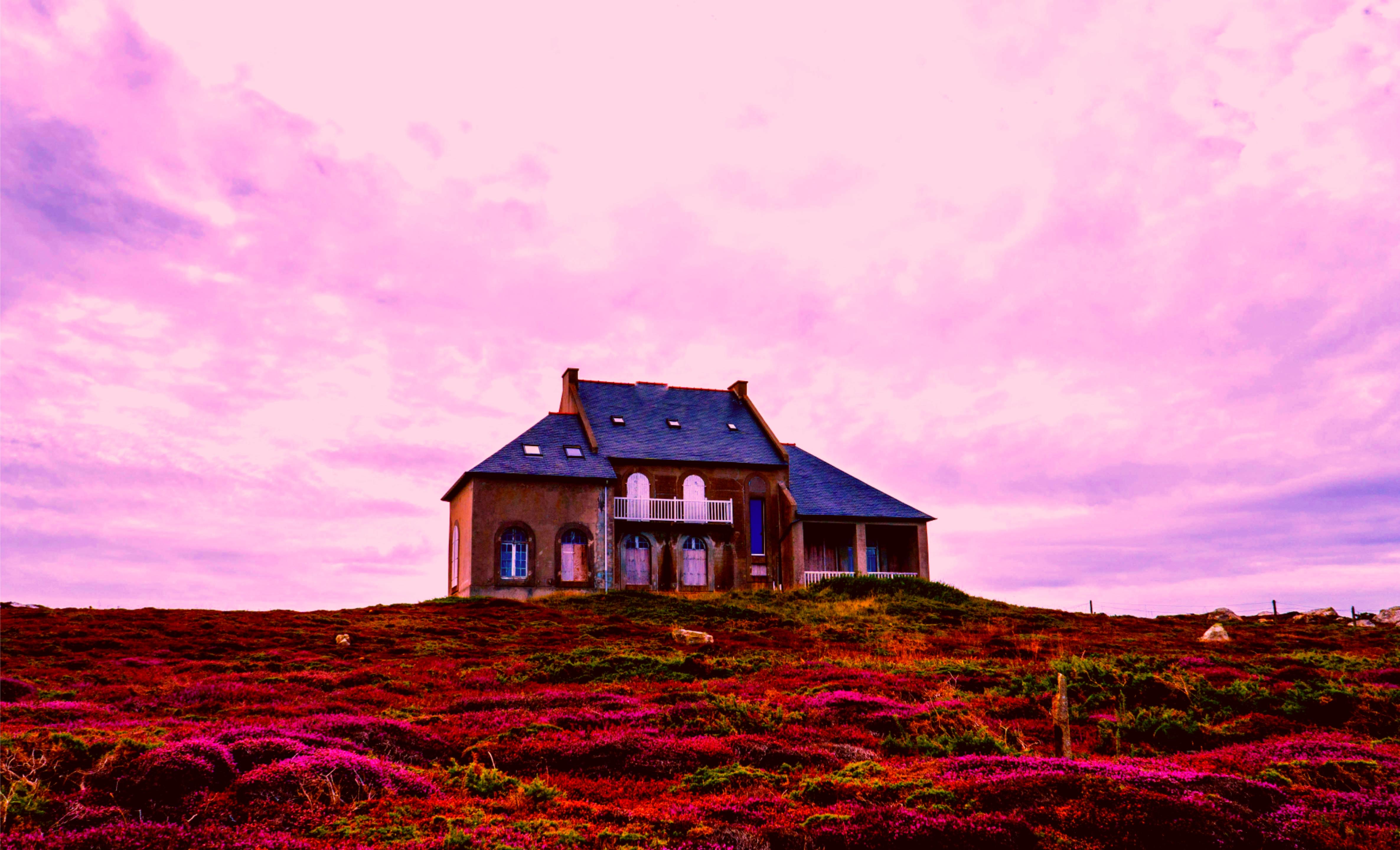 house.jpg
