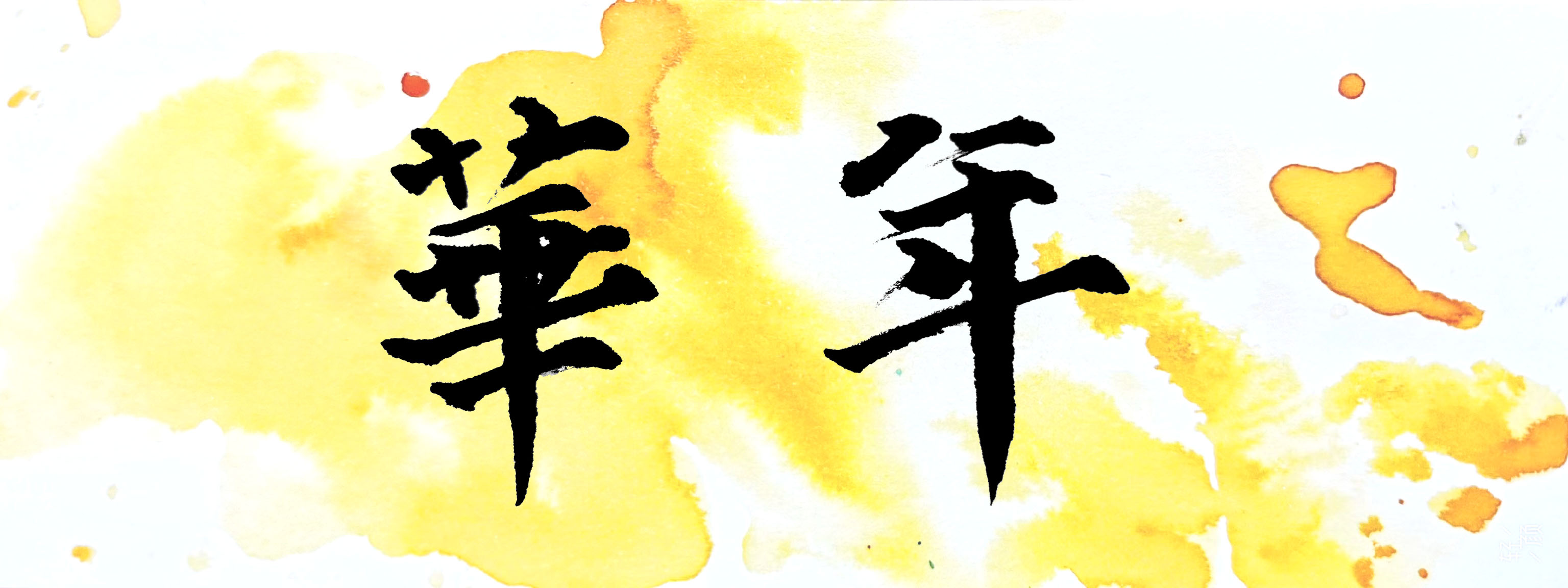 华年.jpg