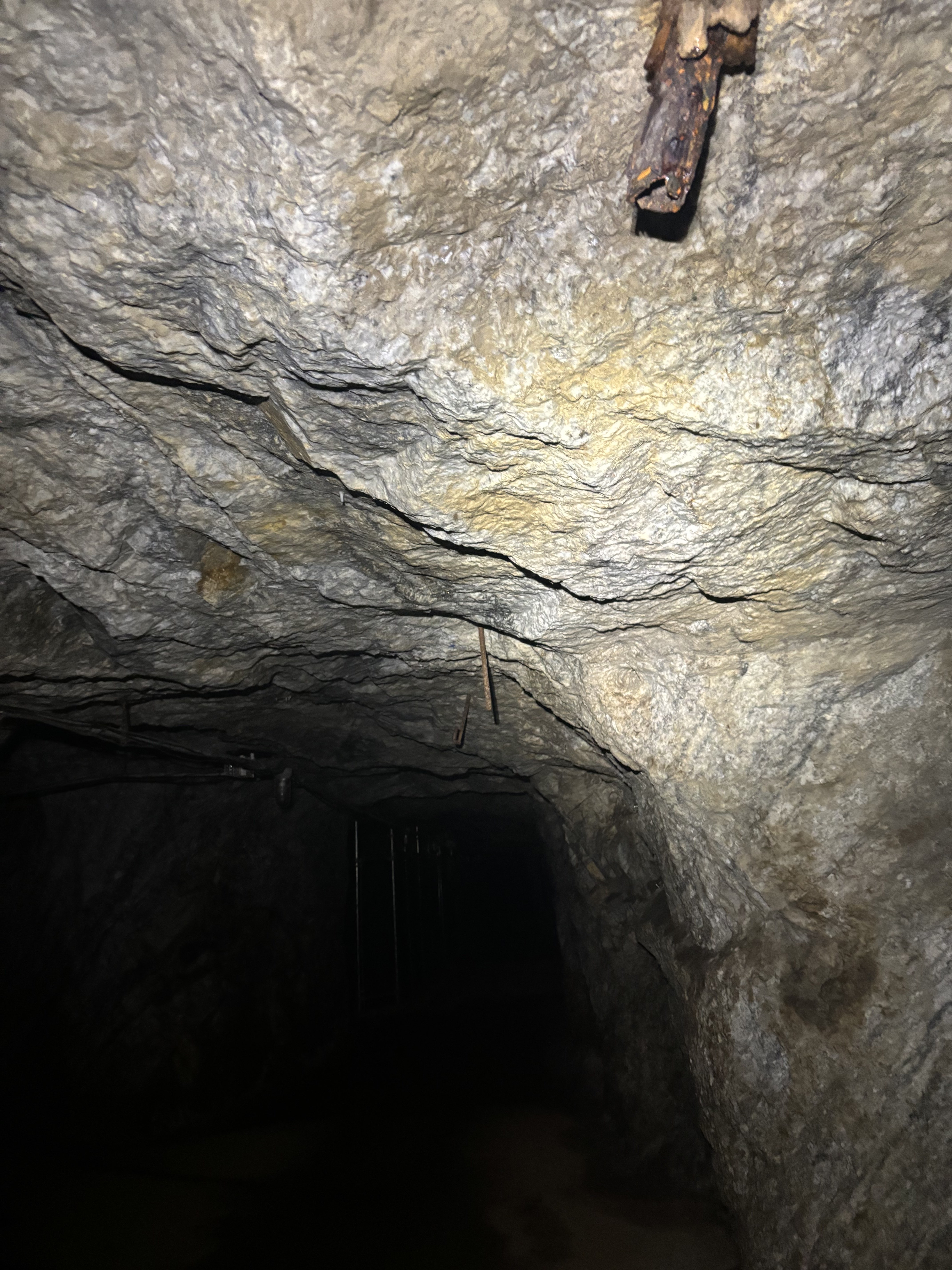 tunnels.jpg