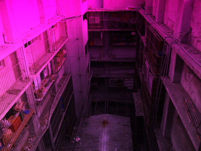 haitougen3.jpg