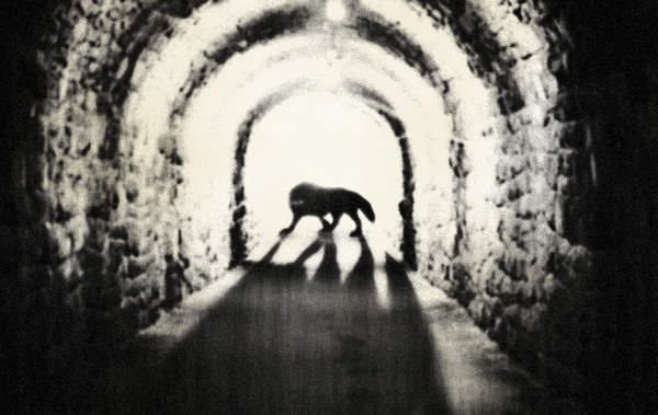 scp-023.png