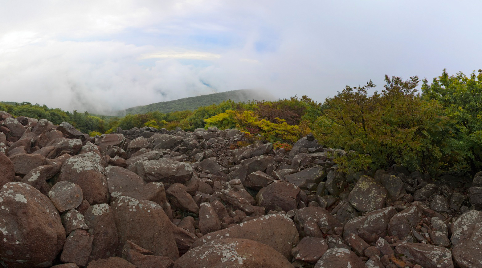 Panorama_of_Mt._Jang_(Busan).jpg