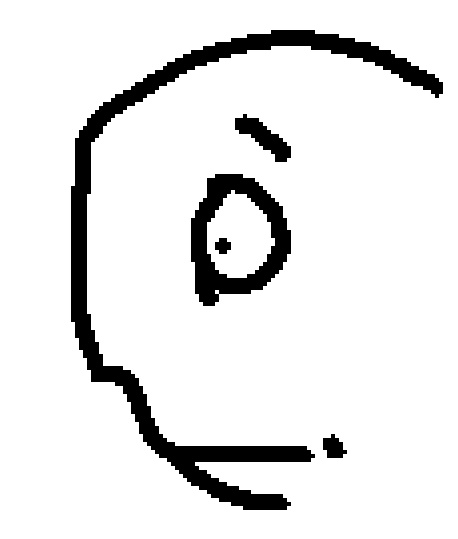 what.jpg