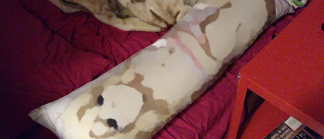 bedroom.jpg