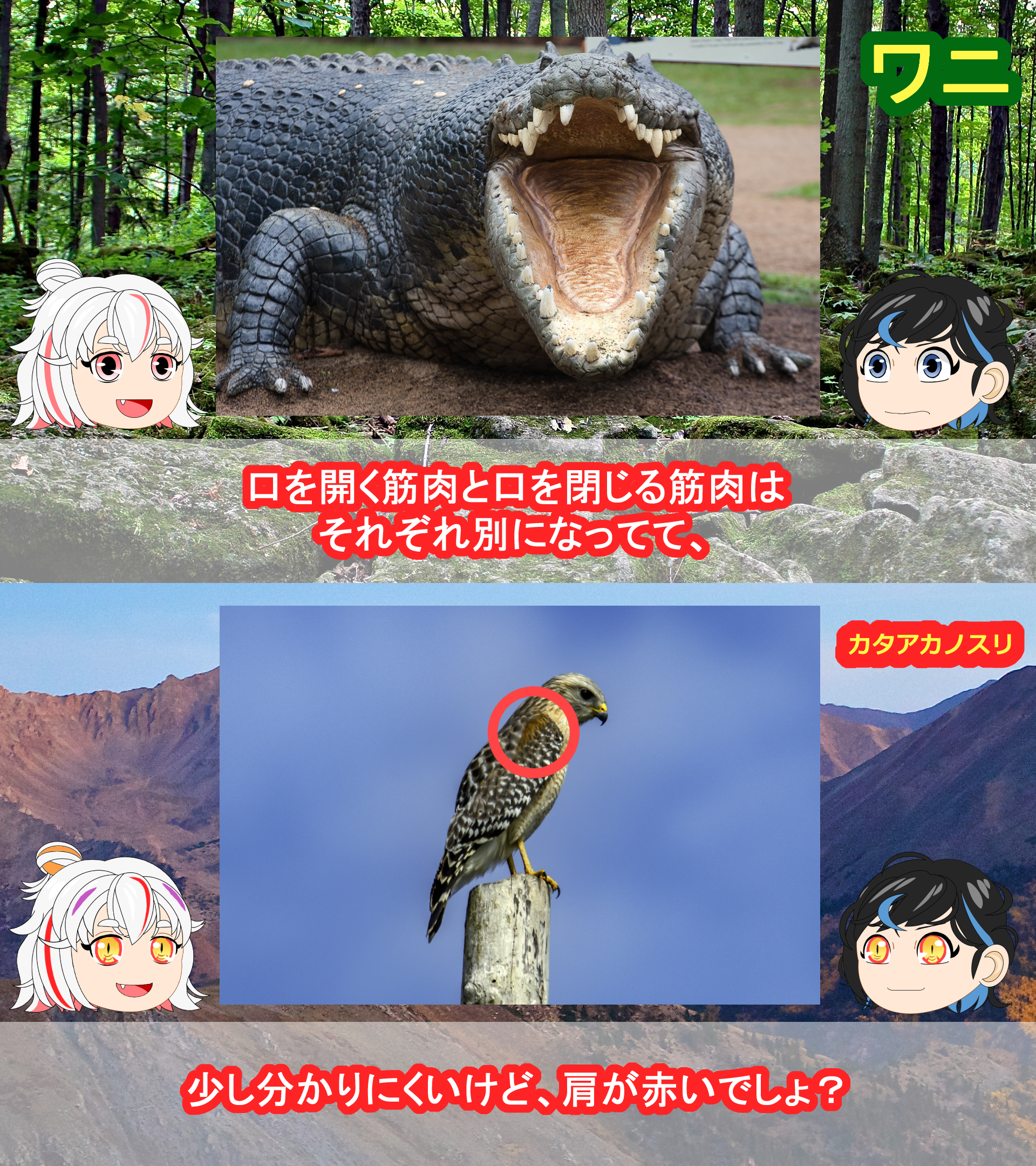 Miino_Yukkuri