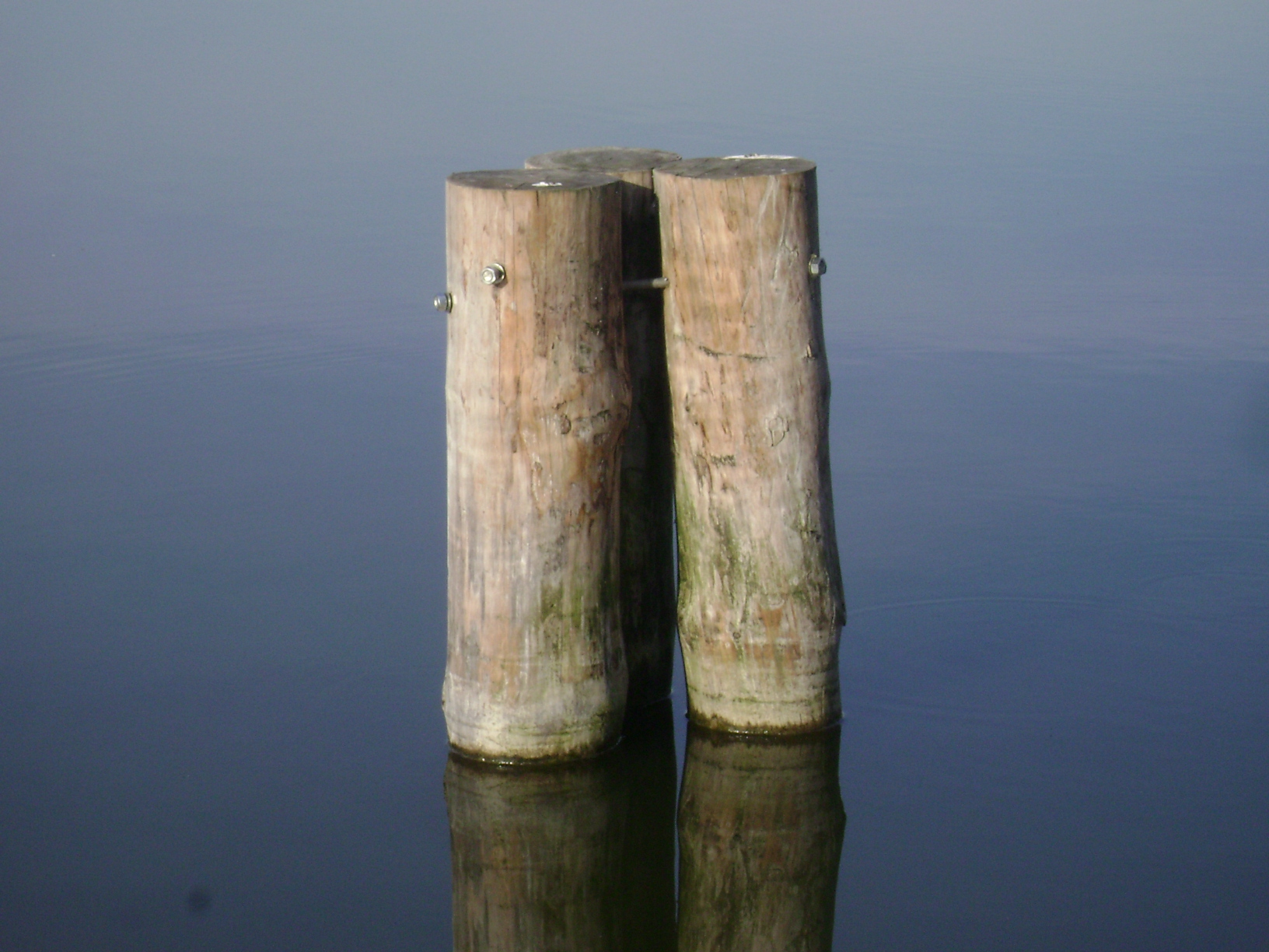 buoy.jpg