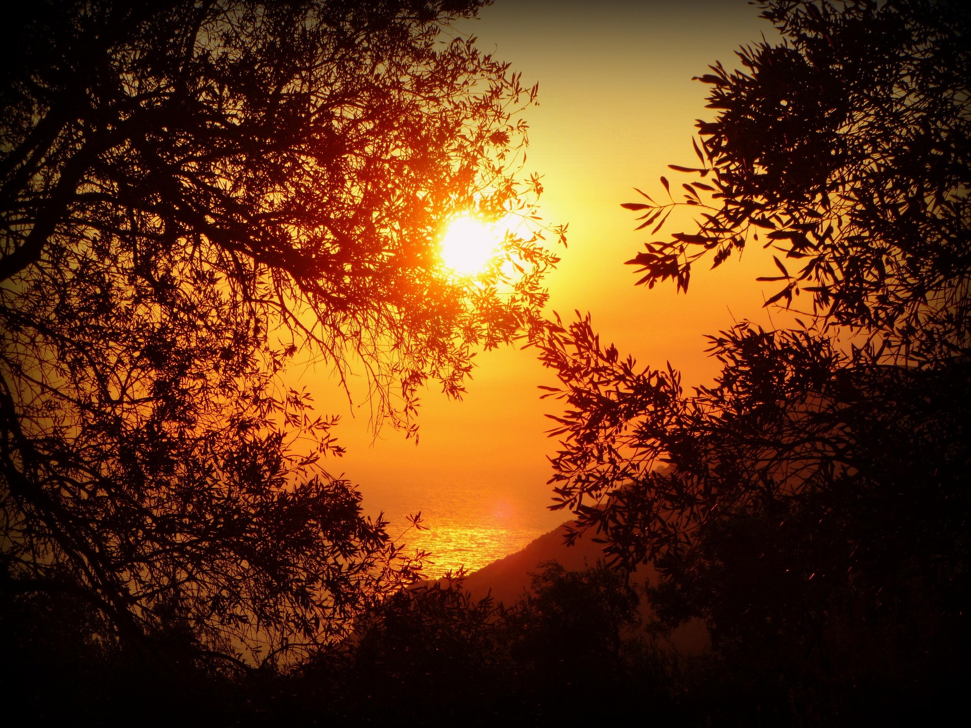 sunset-115448_1920.jpg