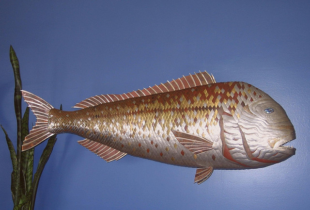 scp-284-jp.jpg