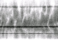 signal-noise.jpg