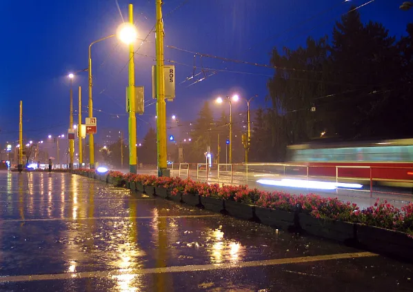 rainystreet.webp