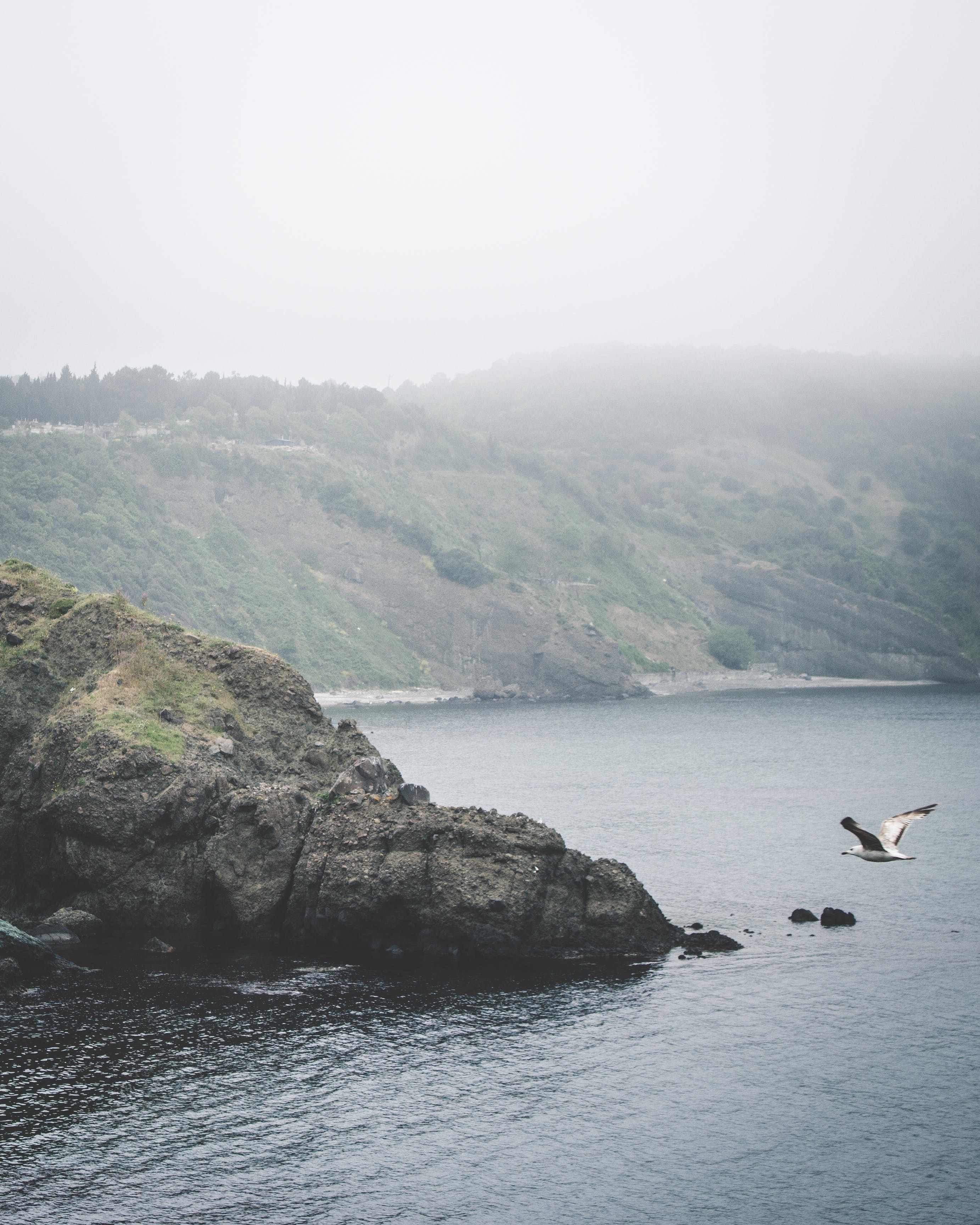 foggyIsland.jpg