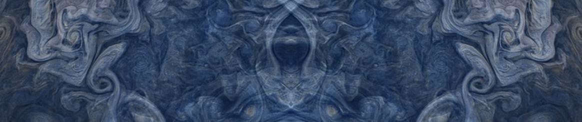 Memetic Agent 1.jpeg