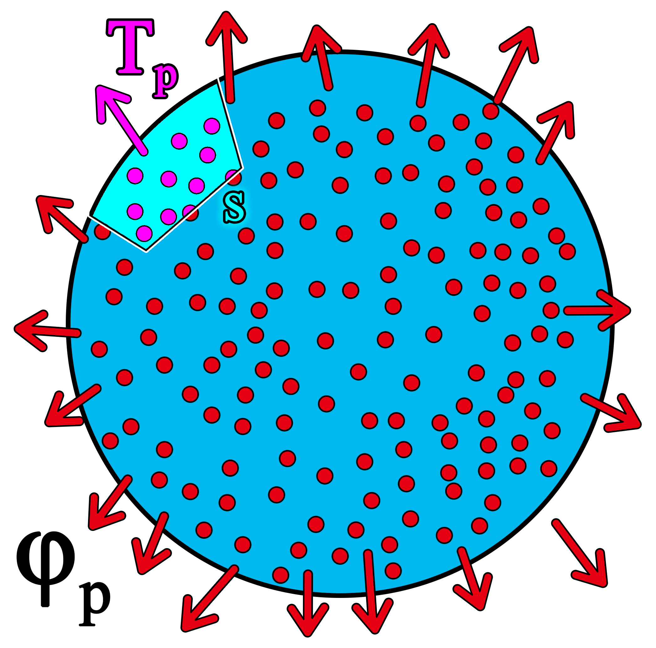 block-2-2.png