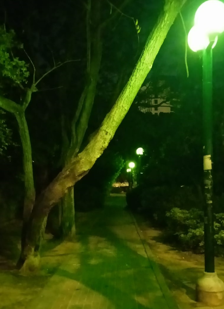 GreenCropped