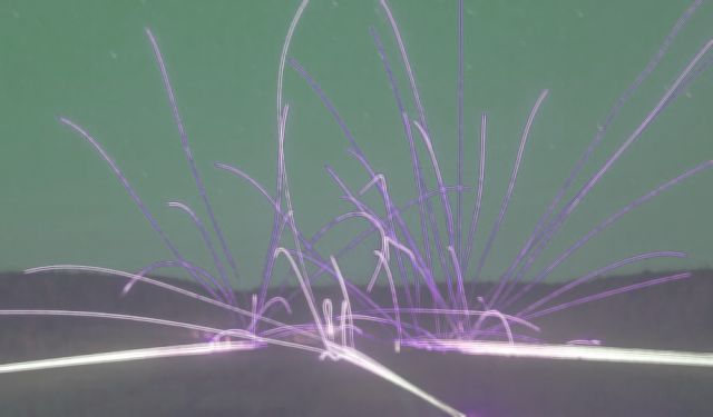 battle.jpg