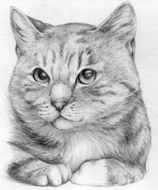 Sketch_Agatha.jpg