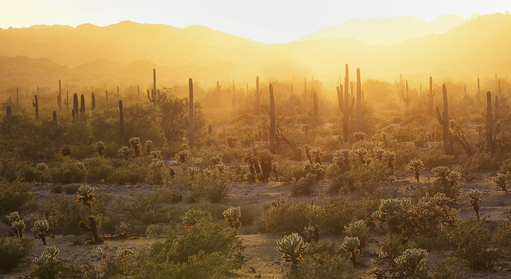 Arizona.jpg