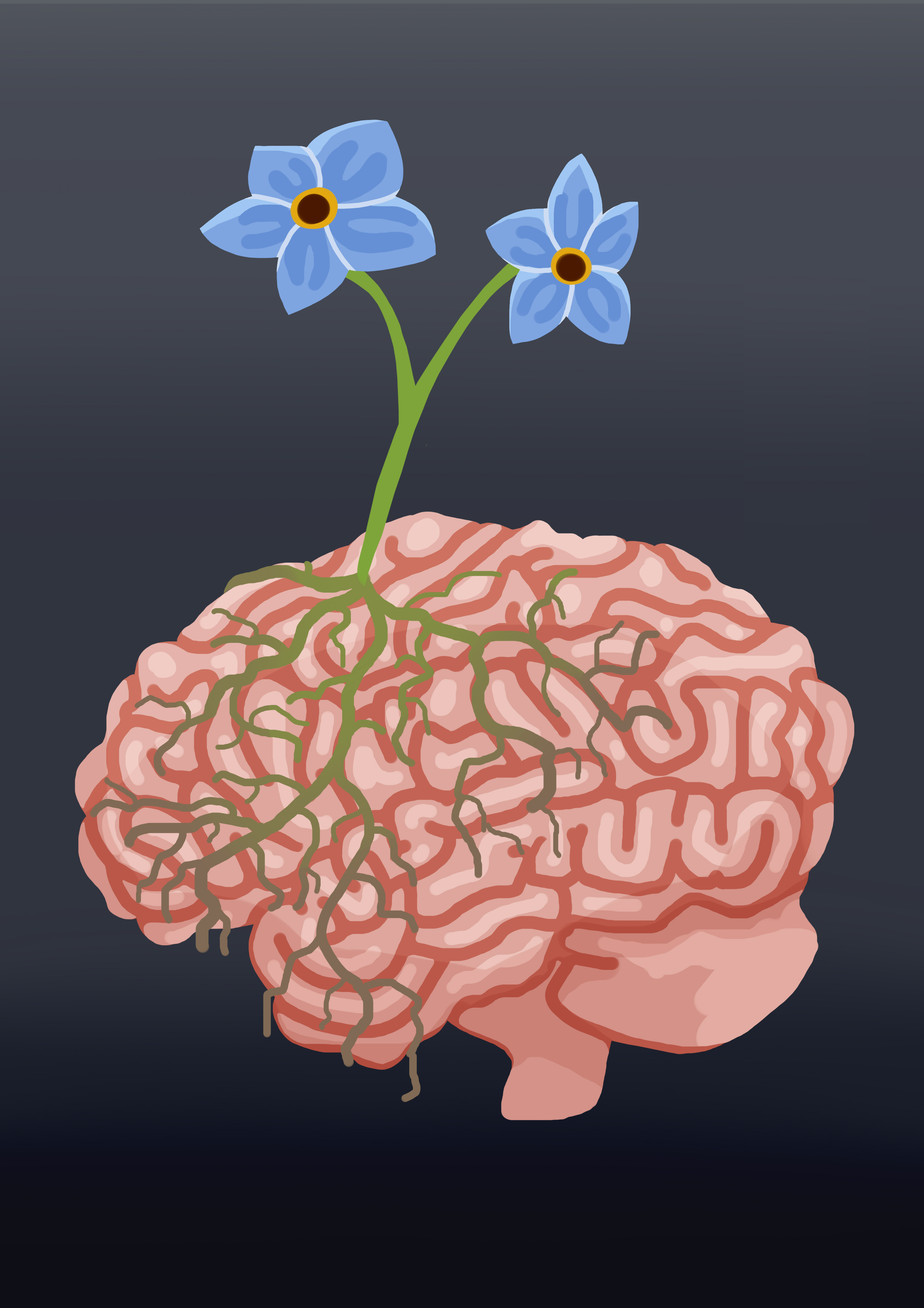 BRAIN