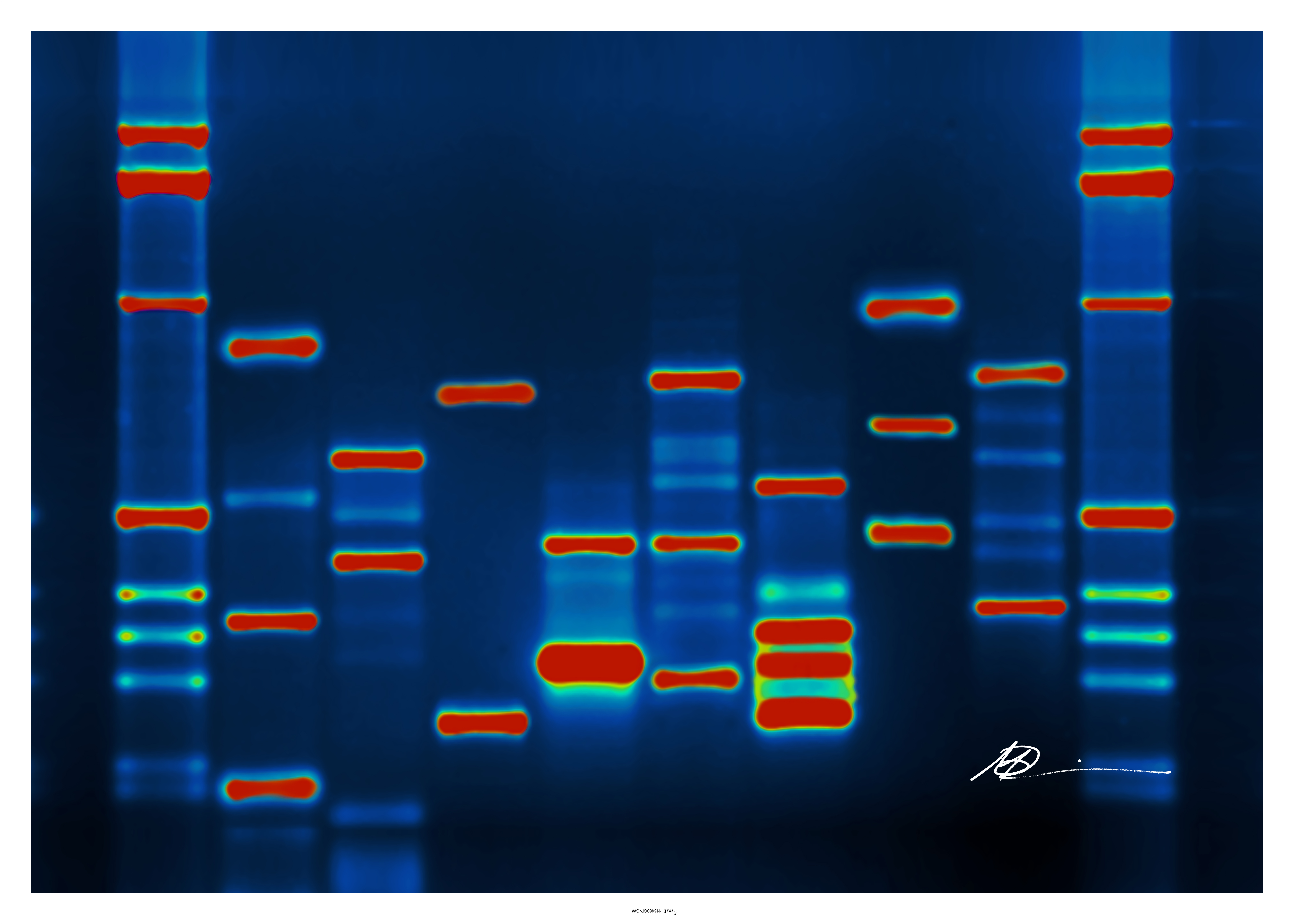 DNA.jpg