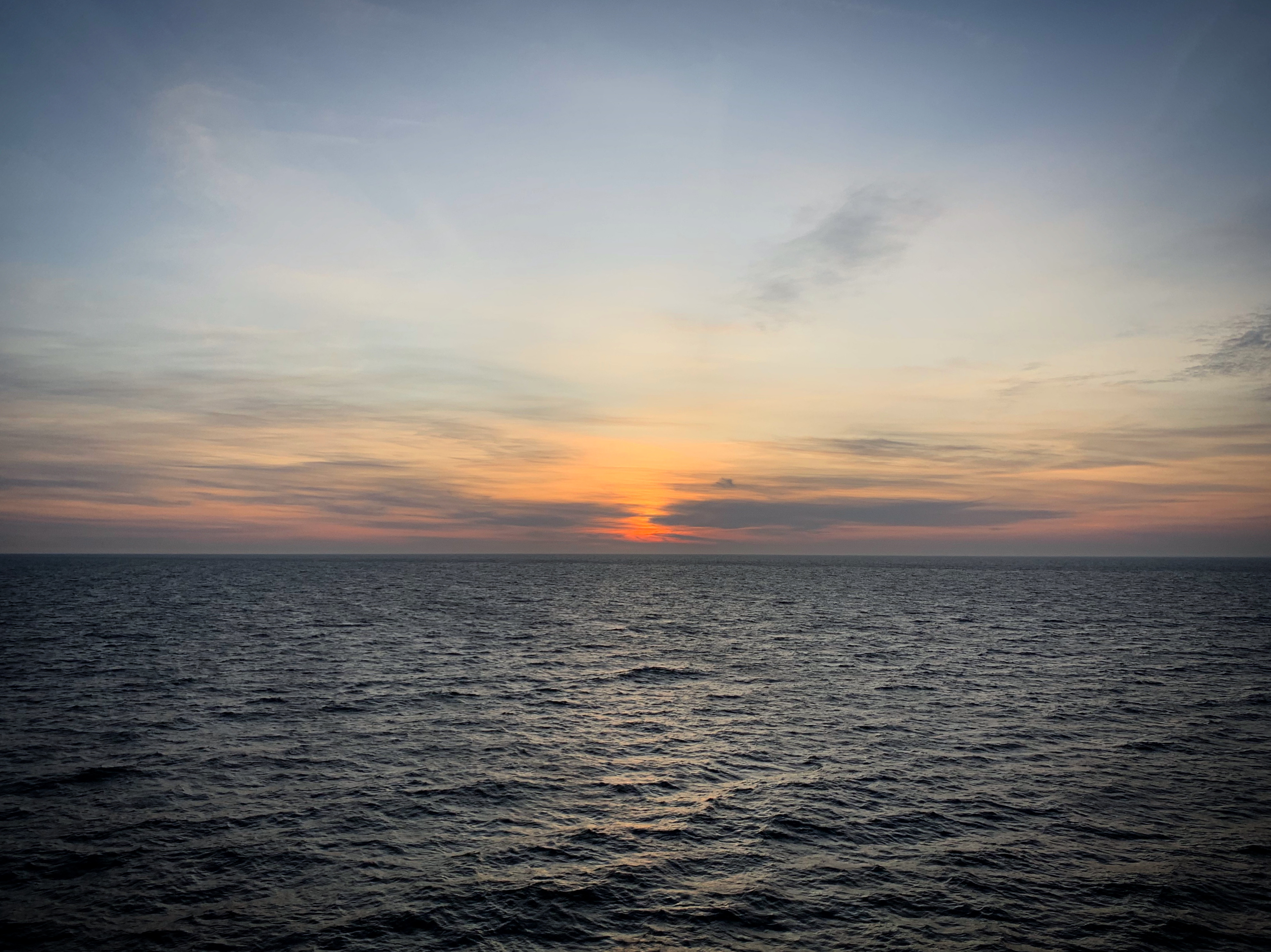 suninsea
