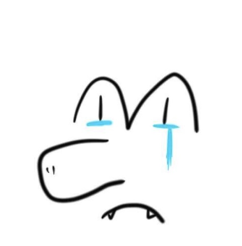 IMG_3100.jpeg