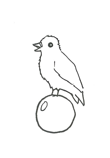 lortolan doodle.jpeg