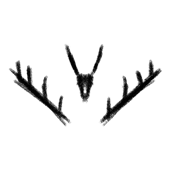 12.png