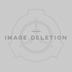 deleted.jpg