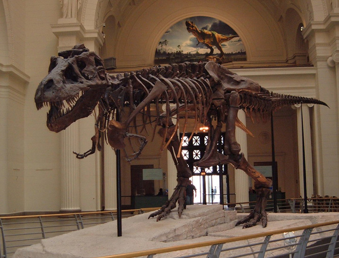 SueTHET-Rex