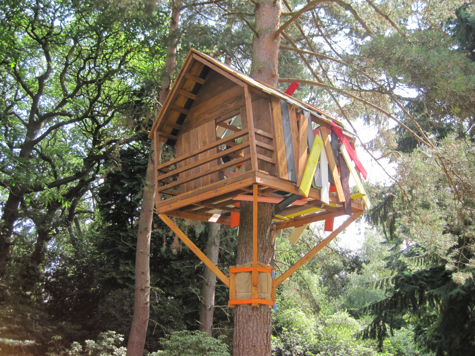 treehaus.jpg